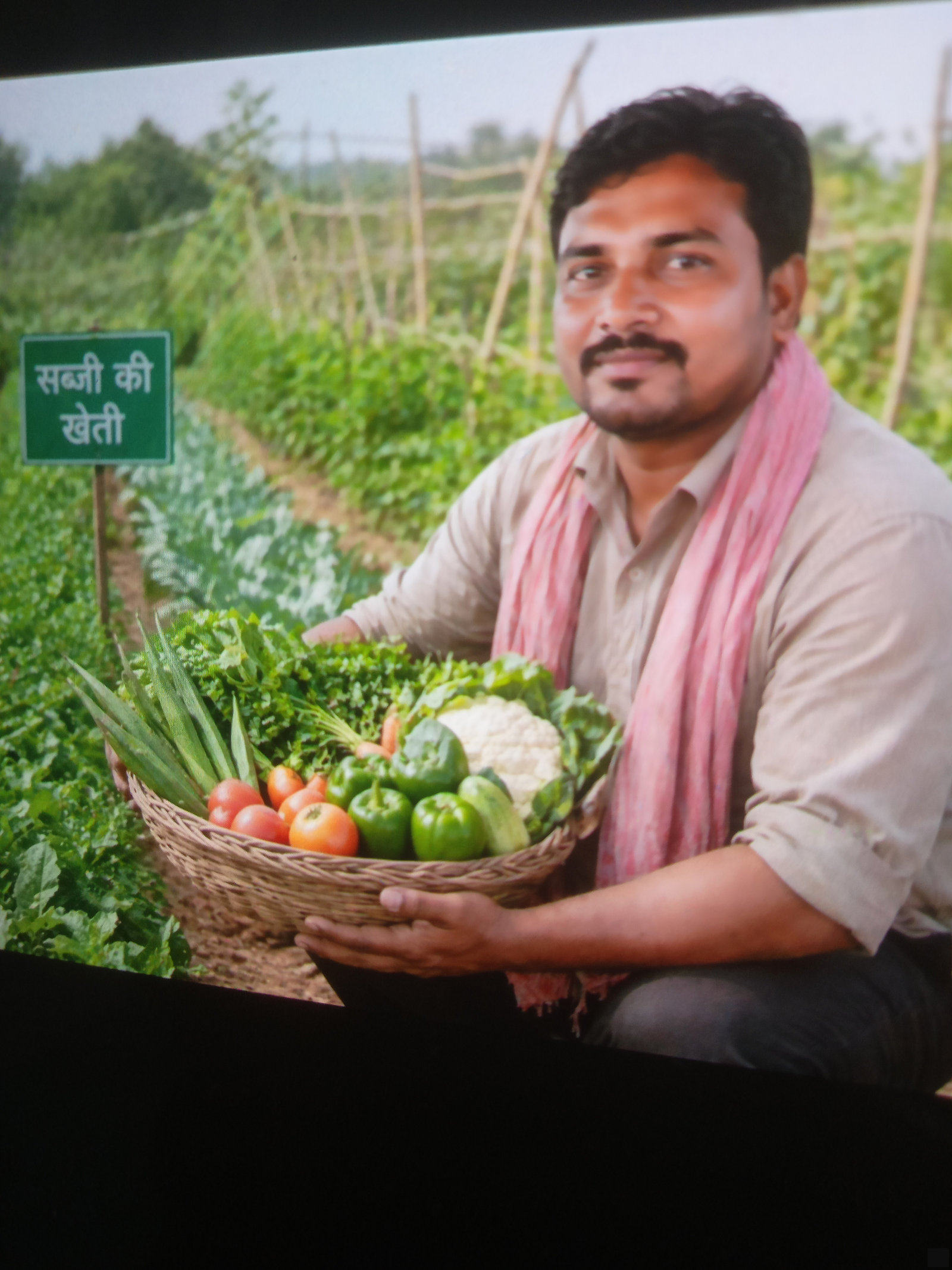 Vegitable 
